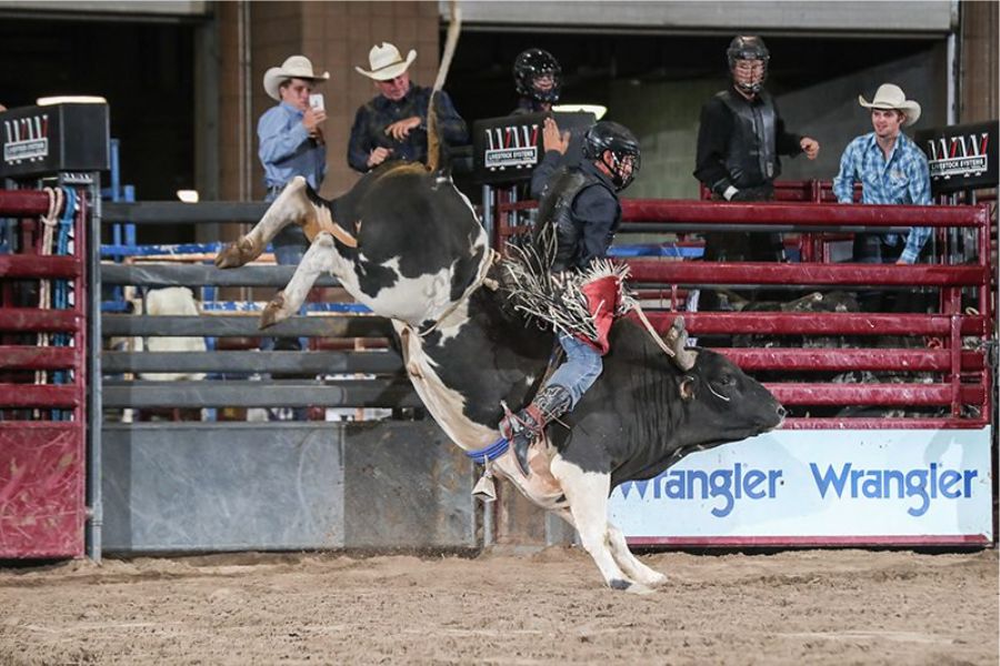 American Royal & Rodeo Season Getaway